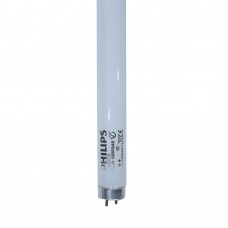 COOL WHITE FLORESCENT (CWF) LIGHT