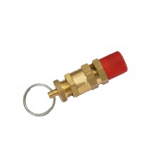 SAFETY VALVE OF AIR SATURATOR 450 LITERS 1